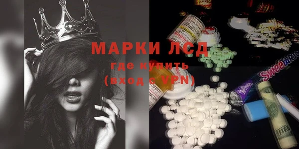 ГАЛЛЮЦИНОГЕННЫЕ ГРИБЫ Богданович