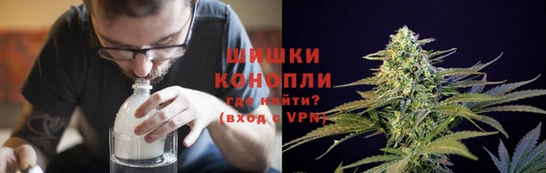 Альфа ПВП Бородино