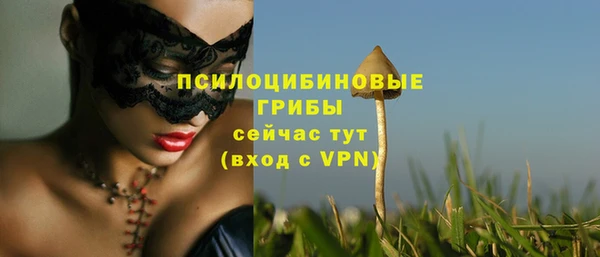винт Бугульма