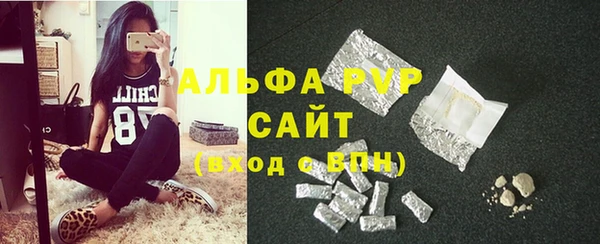 сатива Бронницы