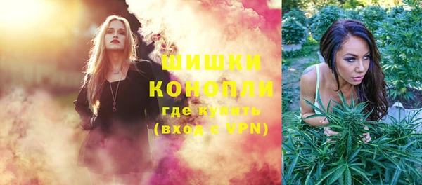 сатива Бронницы