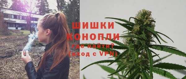 сатива Бронницы
