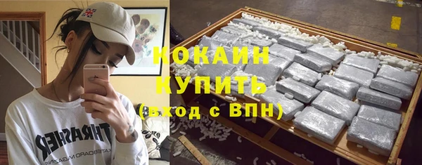сатива Бронницы