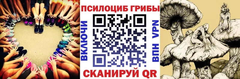 Псилоцибиновые грибы ЛСД  купить   Дагестанские Огни 